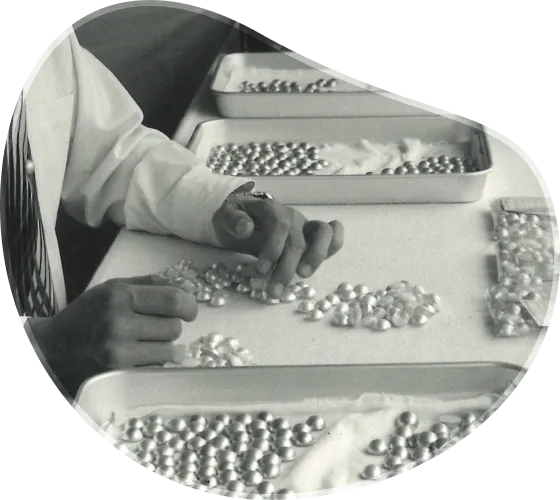 世界初、マベ真珠の人工採苗に成功